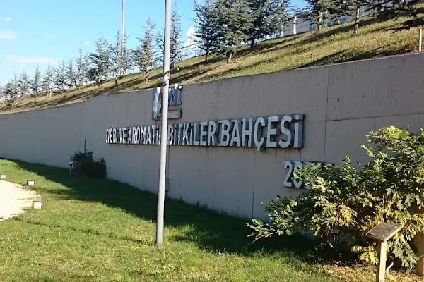 Tıbbi Ve Aromatik Bitkiler Bahçesi - Resim 10