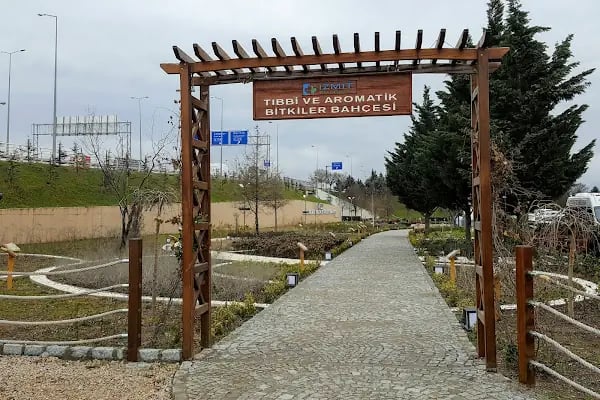 Tıbbi Ve Aromatik Bitkiler Bahçesi - Resim 5