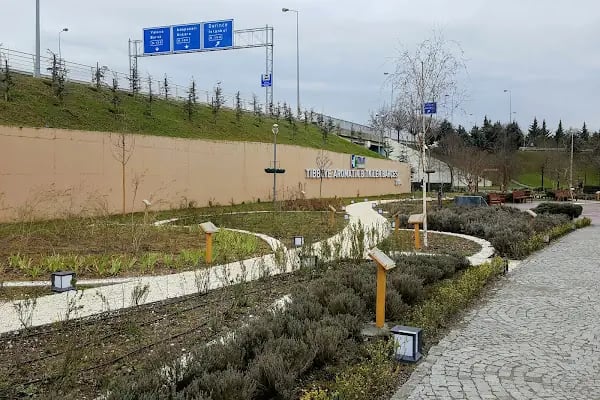Tıbbi Ve Aromatik Bitkiler Bahçesi - Resim 2