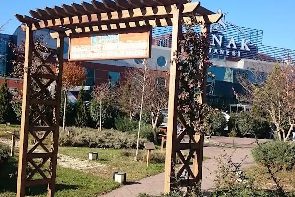 Tıbbi Ve Aromatik Bitkiler Bahçesi - Resim 11