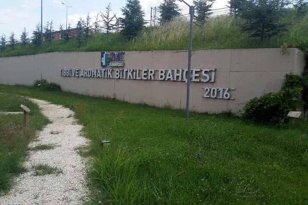 Tıbbi Ve Aromatik Bitkiler Bahçesi - Resim 3