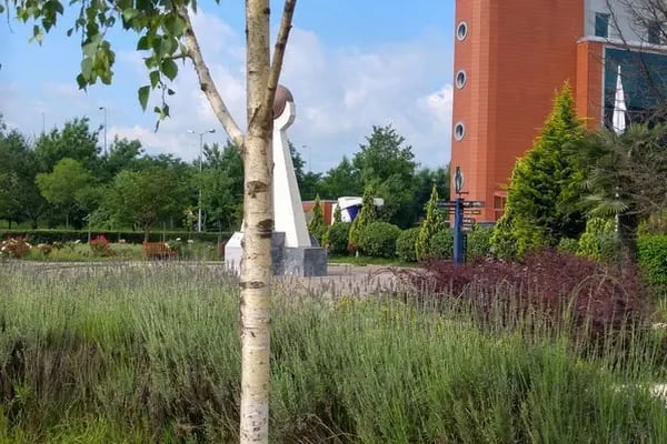 Tıbbi Ve Aromatik Bitkiler Bahçesi - Resim 20