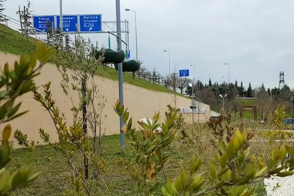 Tıbbi Ve Aromatik Bitkiler Bahçesi - Resim 6