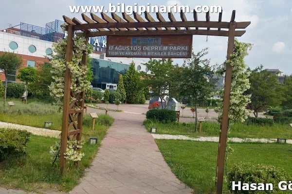 Tıbbi Ve Aromatik Bitkiler Bahçesi - Resim 18