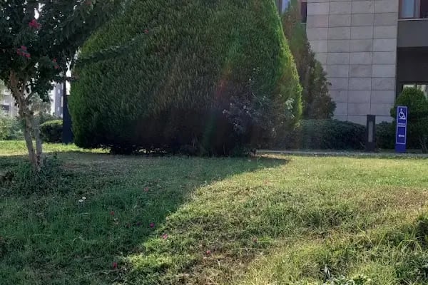 Yenişehir Belediyesi - Resim 18