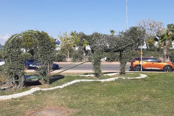 Yenişehir Belediyesi - Resim 19