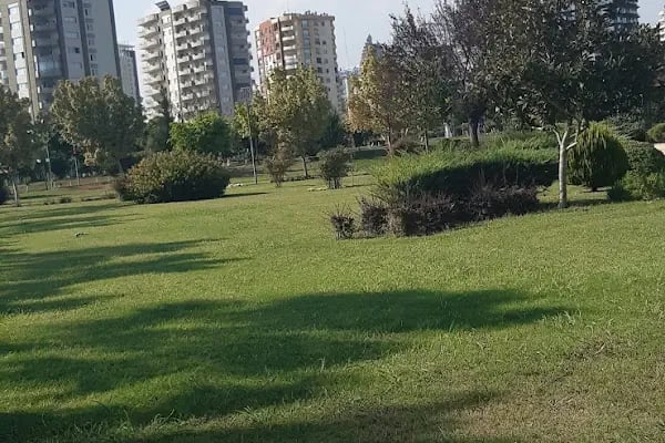 Yenişehir Belediyesi - Resim 3