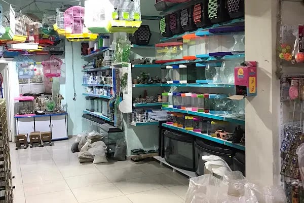 ATAKAN PETSHOP ŞANLIURFA - Resim 12