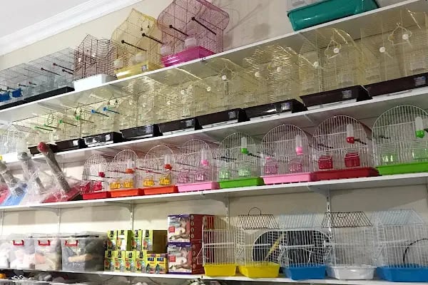 ATAKAN PETSHOP ŞANLIURFA - Resim 8
