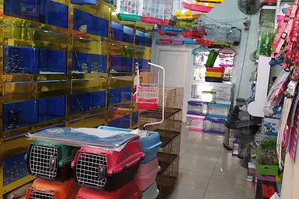 ATAKAN PETSHOP ŞANLIURFA - Resim 14