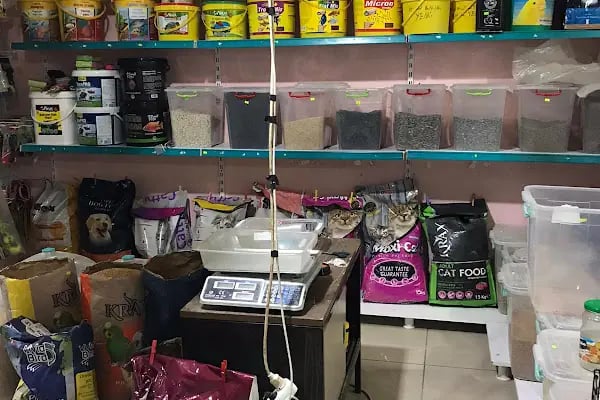 ATAKAN PETSHOP ŞANLIURFA - Resim 10