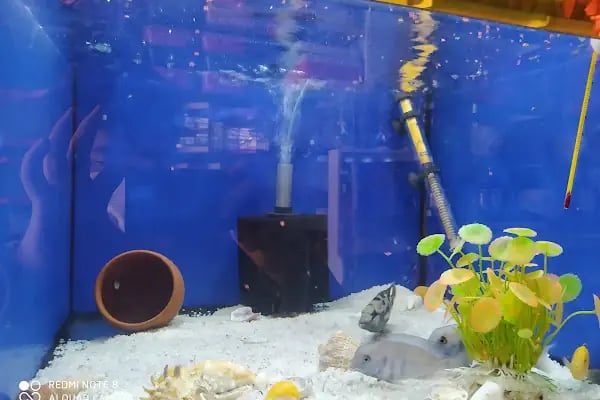 ATAKAN PETSHOP ŞANLIURFA - Resim 7