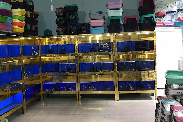 ATAKAN PETSHOP ŞANLIURFA - Resim 6