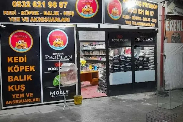 Sakarya Arkadas petshop - Resim 9