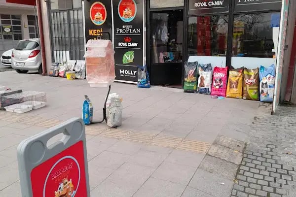 Sakarya Arkadas petshop - Resim 10