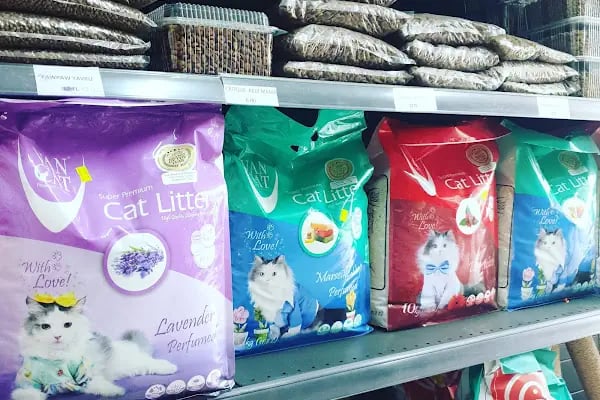 Sakarya Arkadas petshop - Resim 14