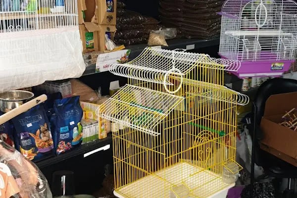 Sakarya Arkadas petshop - Resim 2