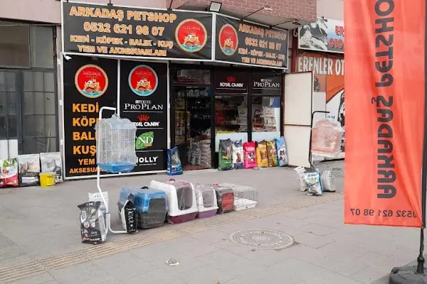 Sakarya Arkadas petshop - Resim 7