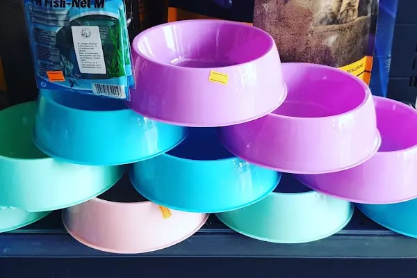 Sakarya Arkadas petshop - Resim 16
