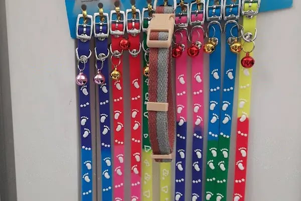 Sakarya Arkadas petshop - Resim 18
