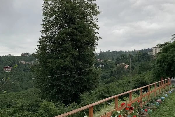 ÜÇES PAİNTBALL - Resim 3