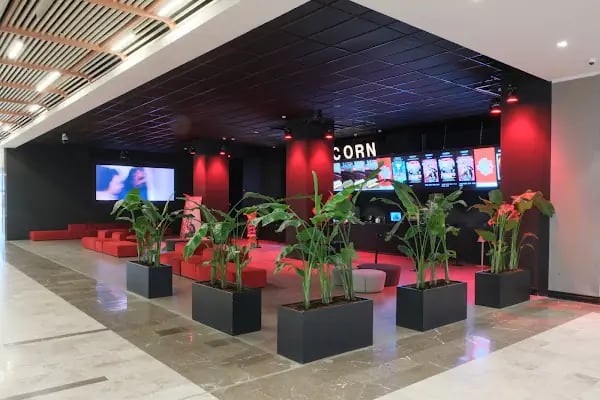 World Cinezone Downtown - Resim 16