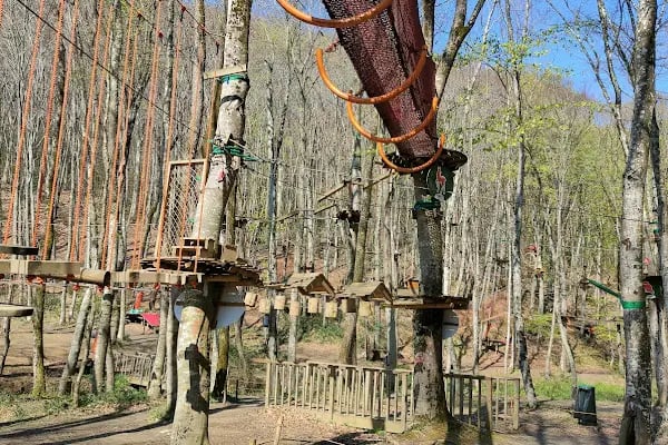 Forest Kemerburgaz - Türkiyenin En Büyük Ve En Güvenli Macera Ve Oyun Parkı - Resim 5