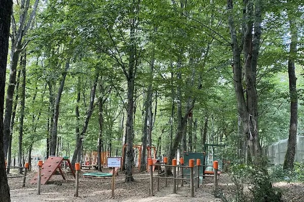 Forest Kemerburgaz - Türkiyenin En Büyük Ve En Güvenli Macera Ve Oyun Parkı - Resim 6