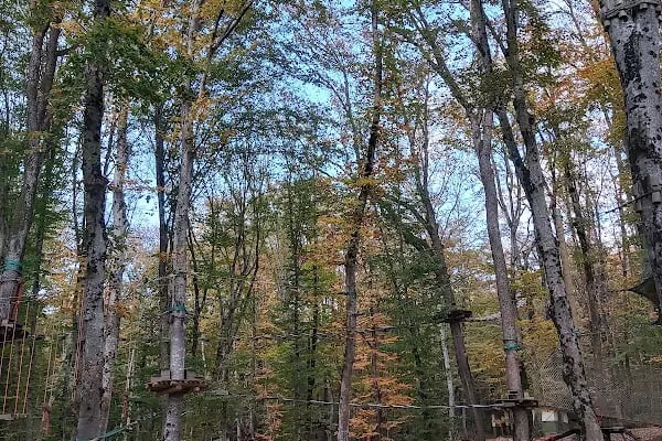 Forest Kemerburgaz - Türkiyenin En Büyük Ve En Güvenli Macera Ve Oyun Parkı - Resim 12