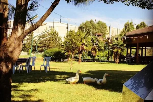 Botanik Park - Resim 12