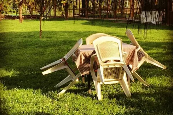 Botanik Park - Resim 11