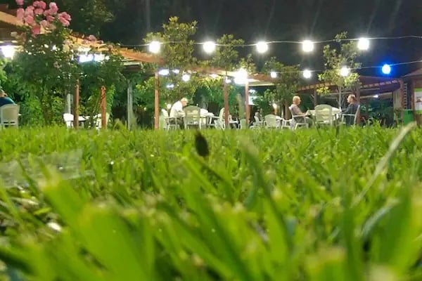 Botanik Park - Resim 18