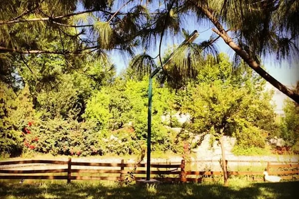Botanik Park - Resim 9