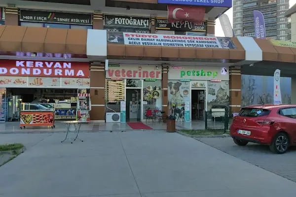 Taha Petshop - Resim 1