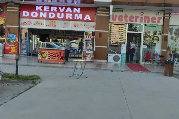Taha Petshop - Resim 2