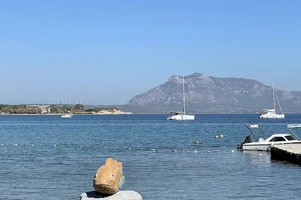 Datça - Bodrum Feribot İskelesi - Resim 13