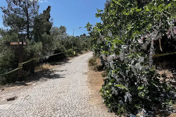 ADALAR KAYMAKAMLIĞI - Resim 8