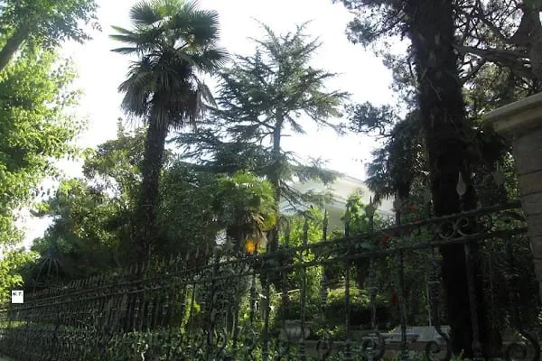 ADALAR KAYMAKAMLIĞI - Resim 7
