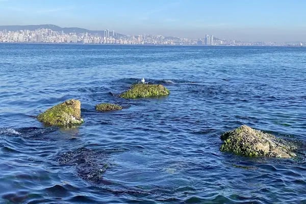 ADALAR KAYMAKAMLIĞI - Resim 6