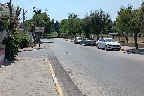 Balıkesir Defterdarlığı - Resim 12