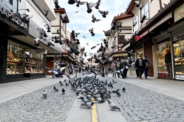 Selman kuyumculuk - Resim 15