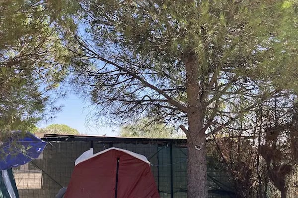 Barcelona Beach Camping Orjan - Resim 17