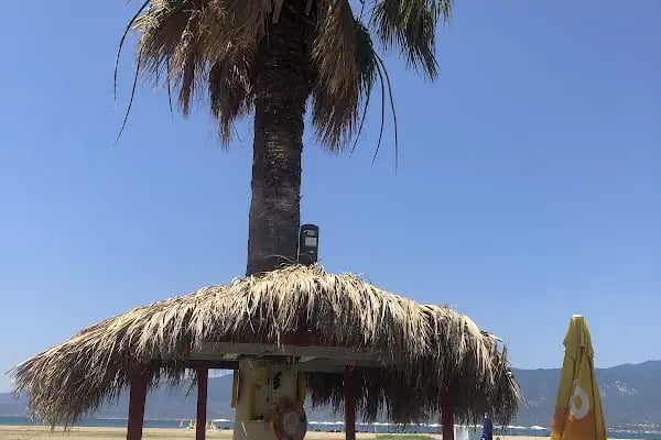 Barcelona Beach Camping Orjan - Resim 3