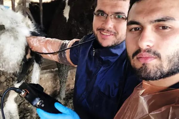 AYRULU Veteriner Kliniği - Resim 17
