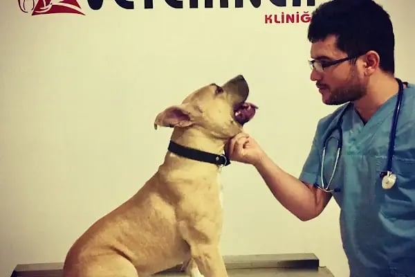 AYRULU Veteriner Kliniği - Resim 19