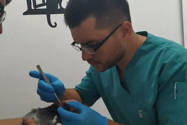 AYRULU Veteriner Kliniği - Resim 16