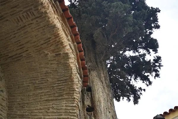 Dramalılar Köşkü - Resim 11