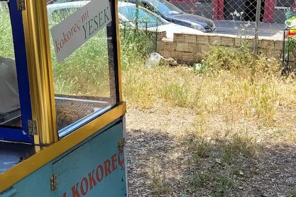 Atom Kokereç Kenan Aconun Yeri - Resim 2