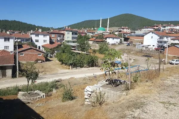 Çöreler Köyü Camii - Resim 3