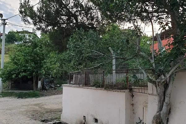 Çöreler Köyü Camii - Resim 17